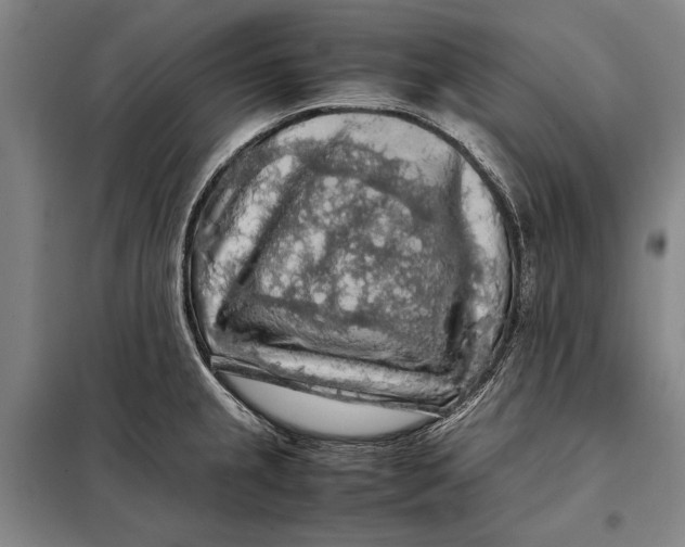 X0000097921237200804041517