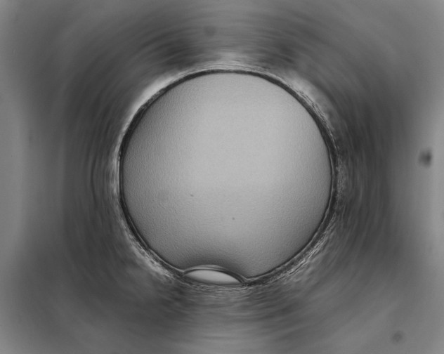 X0000097921238200804041517