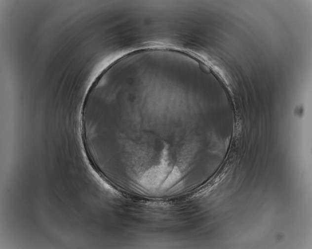 X0000097921239200804041517