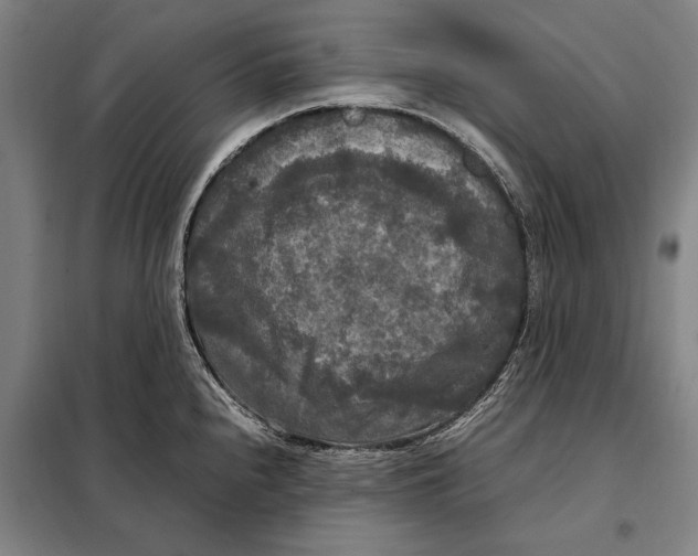 X0000097921240200804041517