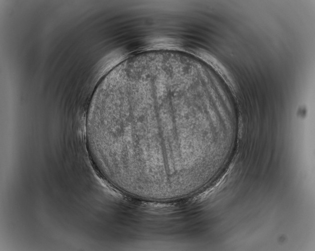 X0000097921241200804041517