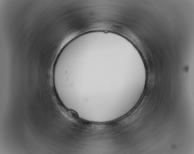 X0000097921242200804041517