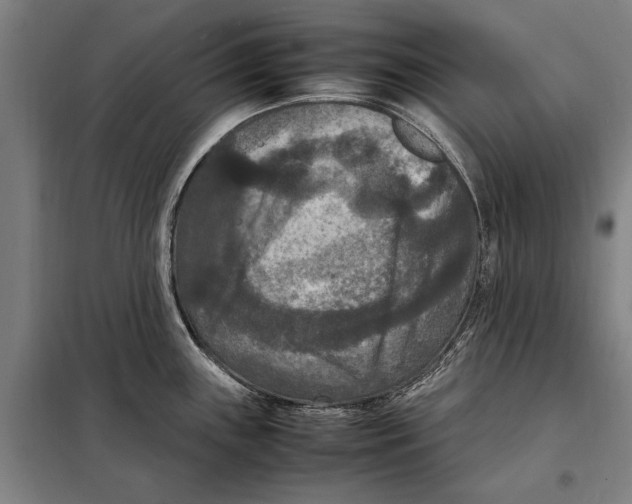 X0000097921243200804041517