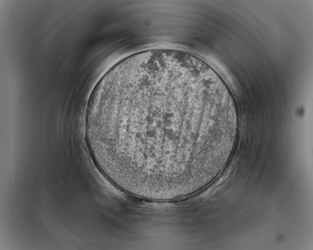 X0000097921244200804041517