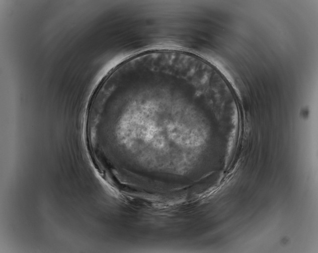 X0000097921245200804041517