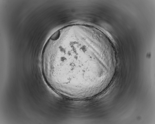 X0000097921247200804041517