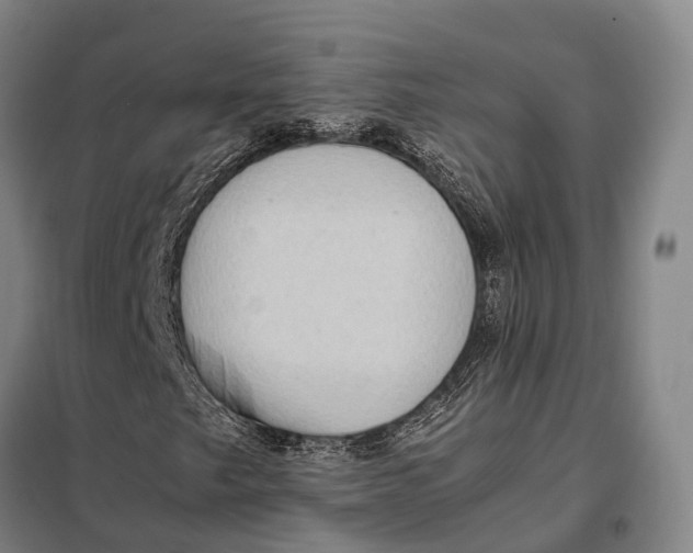 X0000097921249200804041516