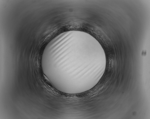 X0000097921250200804041516