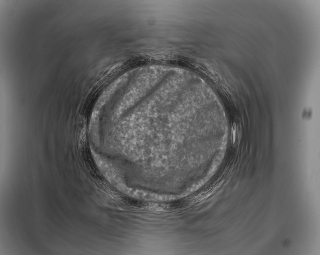 X0000097921251200804041516