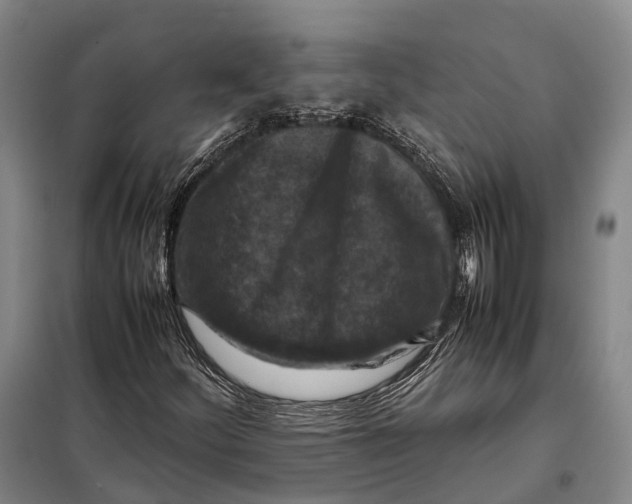 X0000097921252200804041516