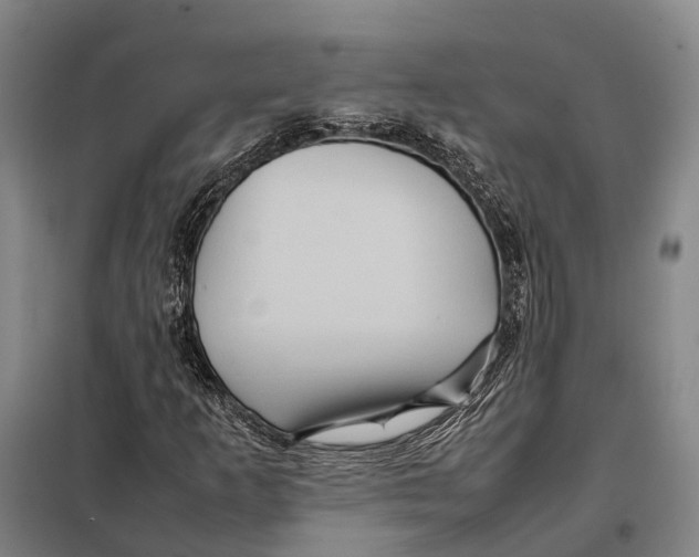 X0000097921253200804041516