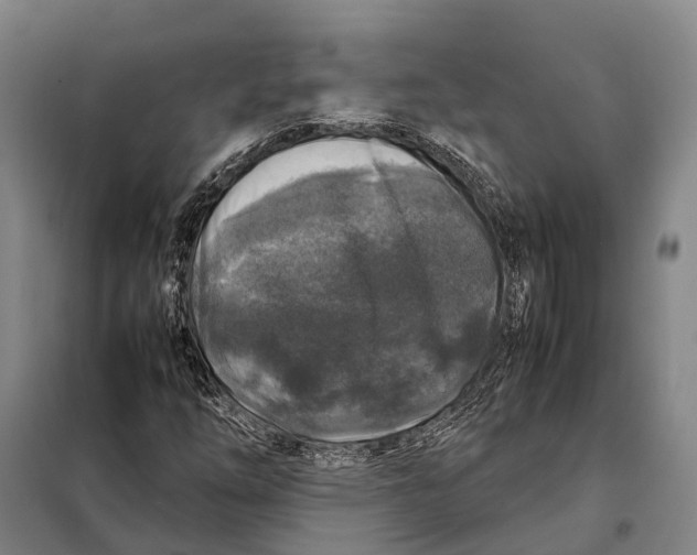 X0000097921254200804041516