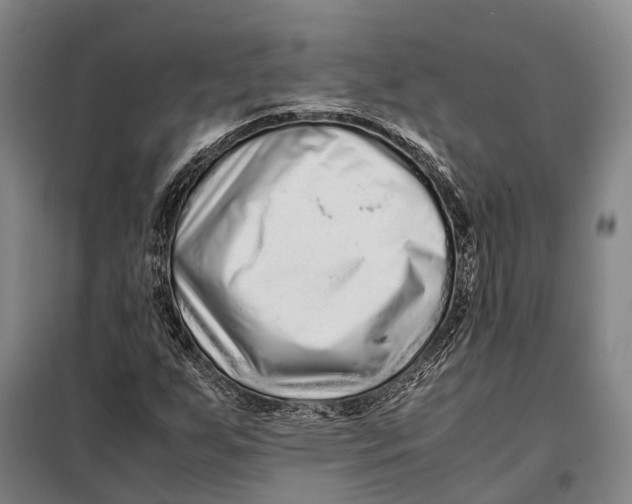 X0000097921255200804041516