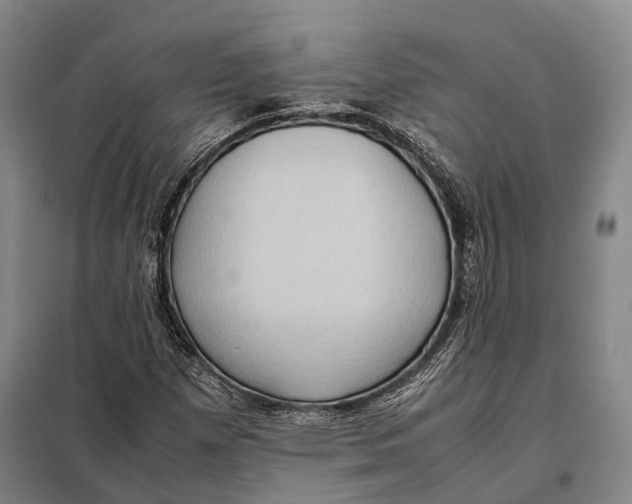 X0000097921257200804041516