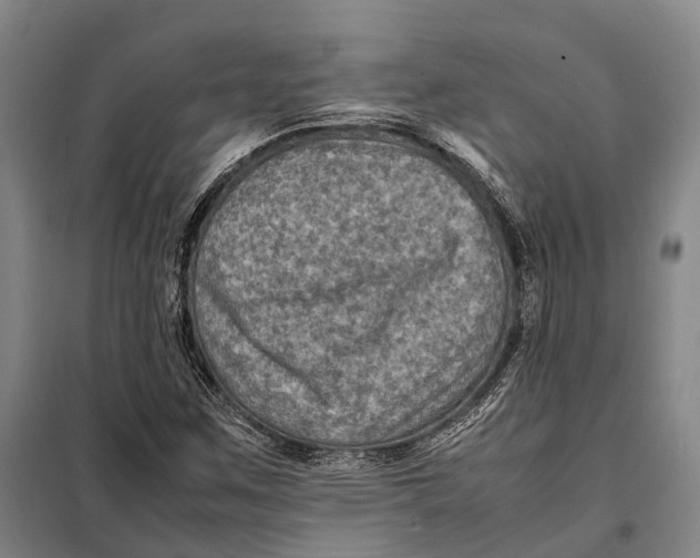 X0000097921259200804041516