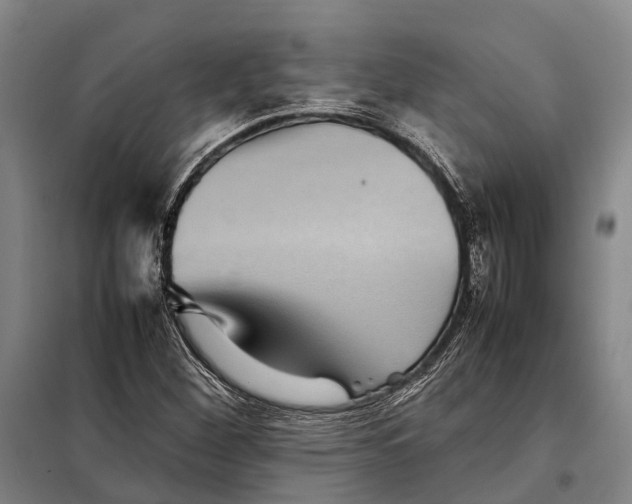 X0000097921260200804041516