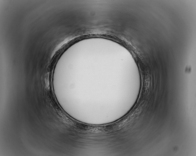 X0000097921262200804041516