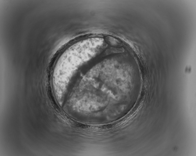 X0000097921263200804041516