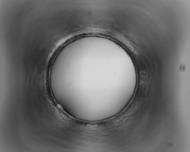 X0000097921264200804041516