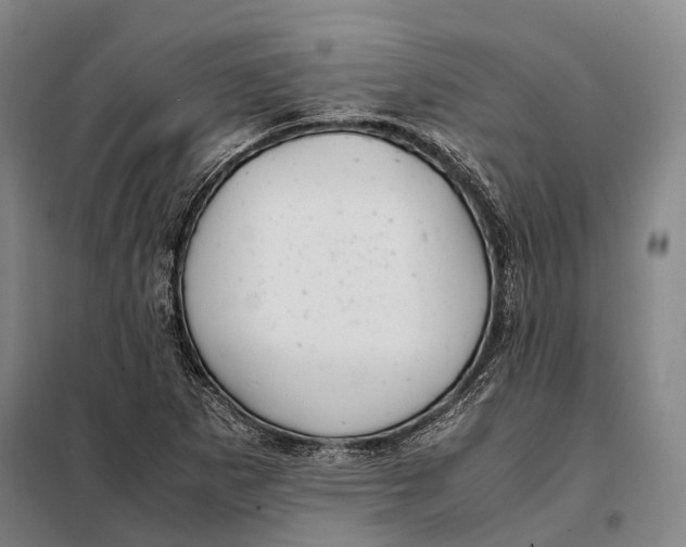 X0000097921265200804041516