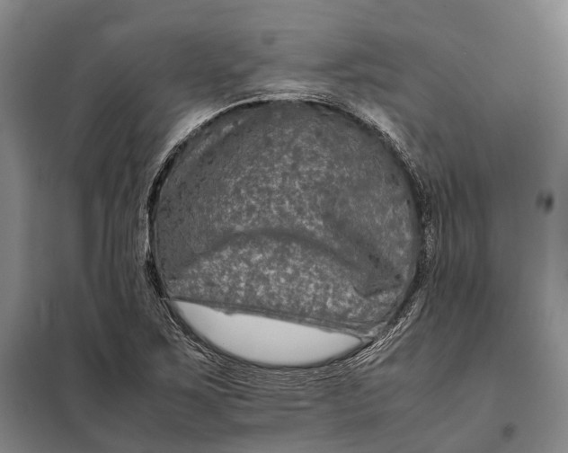 X0000097921267200804041516