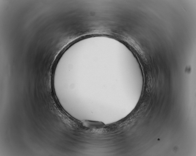 X0000097921268200804041516