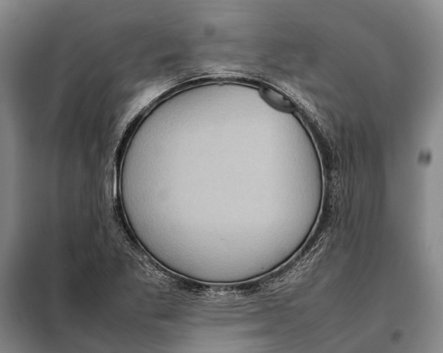 X0000097921269200804041516