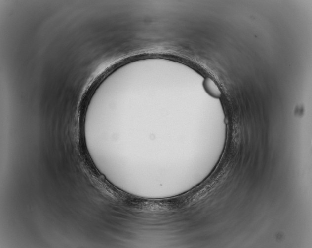 X0000097921270200804041516