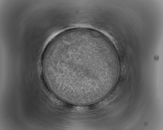 X0000097921271200804041516