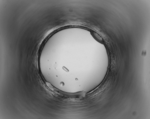 X0000097921272200804041516