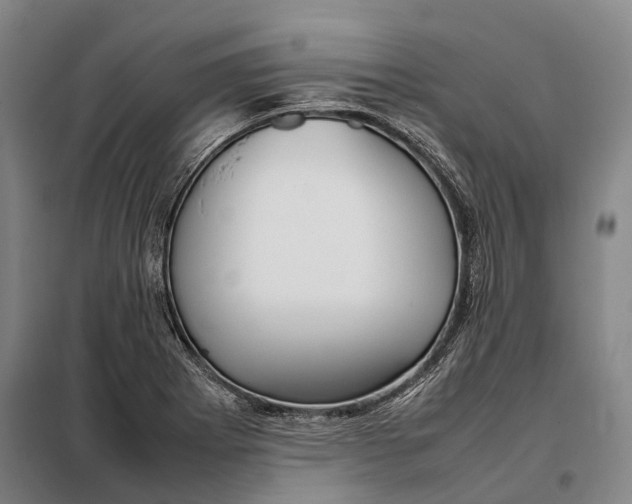 X0000097921273200804041516