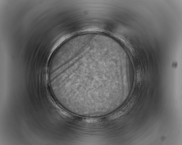 X0000097921274200804041516