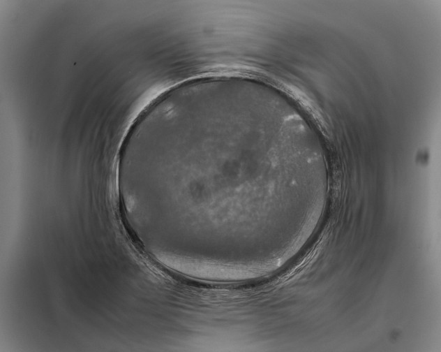 X0000097921275200804041516