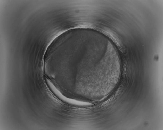 X0000097921276200804041516