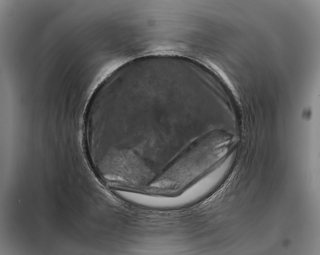 X0000097921277200804041516