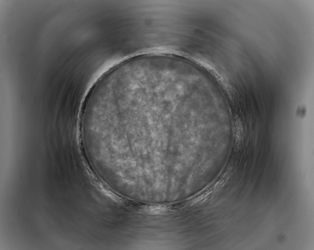 X0000097921278200804041516