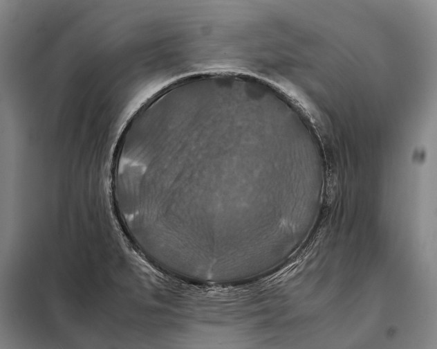 X0000097921279200804041516