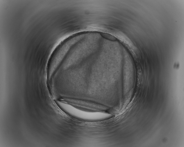 X0000097921280200804041516