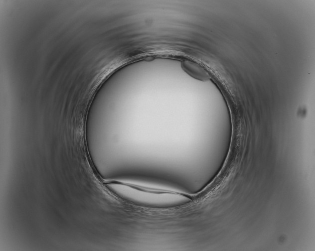 X0000097921281200804041516