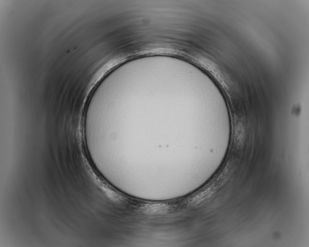 X0000097921282200804041516