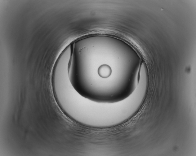 X0000097921283200804041516