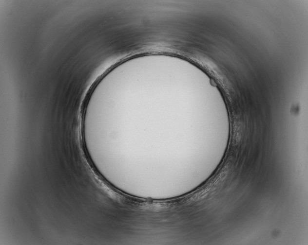 X0000097921286200804041515