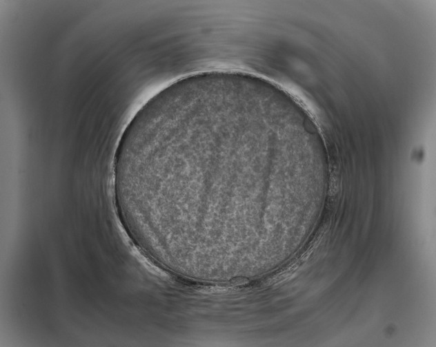 X0000097921287200804041515