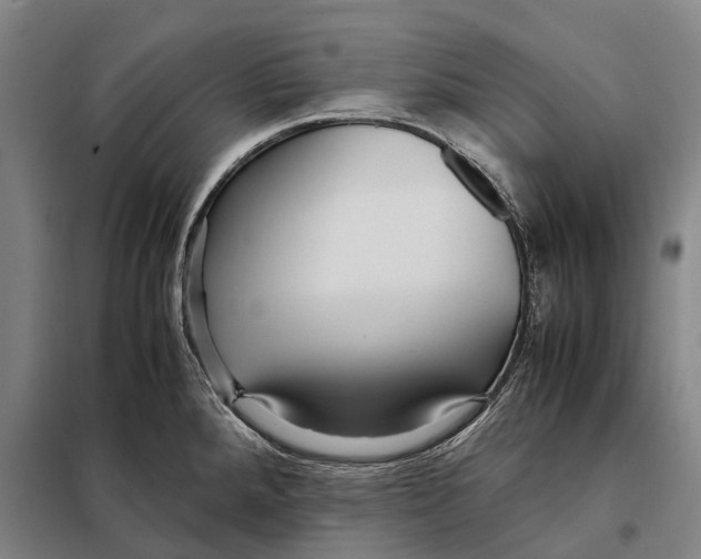 X0000097921288200804041515