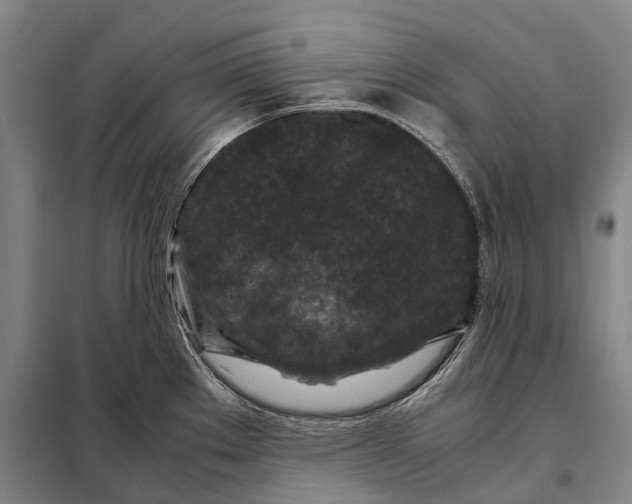 X0000097921289200804041515