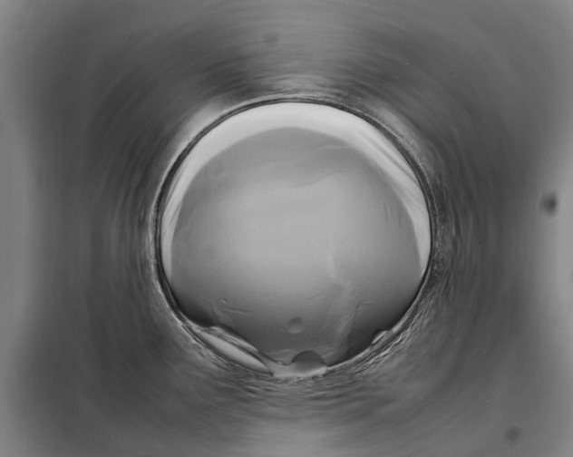 X0000097921291200804041515