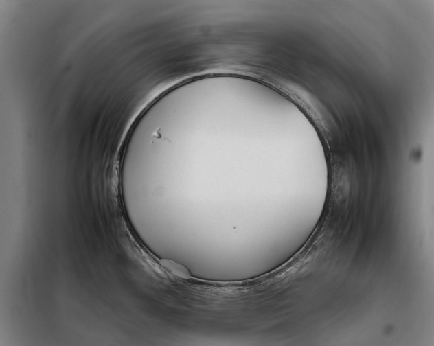 X0000097921292200804041515