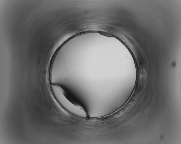 X0000097921293200804041515