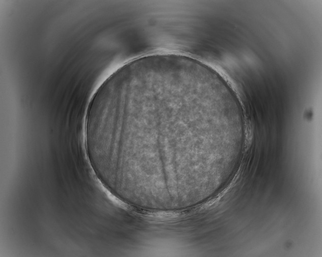 X0000097921294200804041515