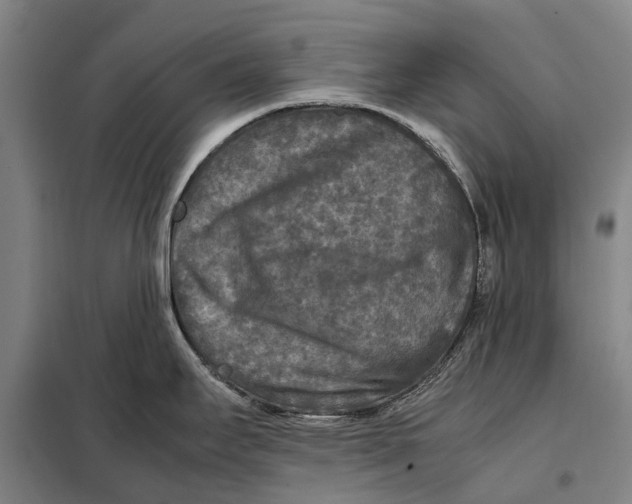 X0000097921295200804041515